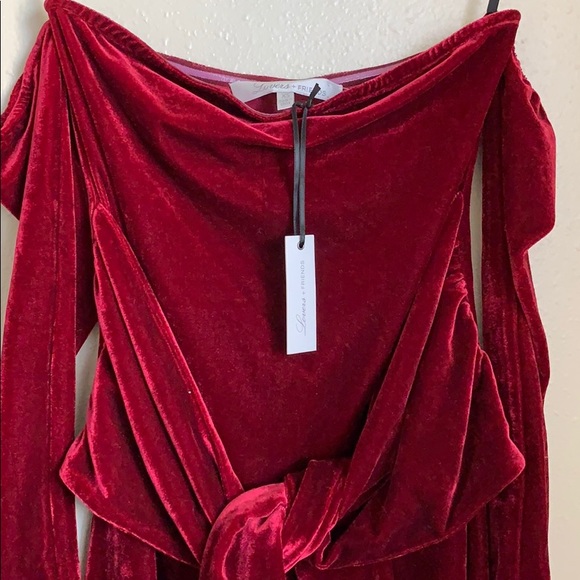 NWT Lovers + Friends Lucia Burgundy Velvet Dress - Picture 6 of 8